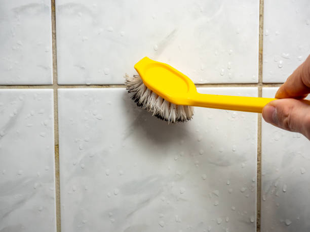 Best Bathroom Mold Remediation in Olivarez, TX