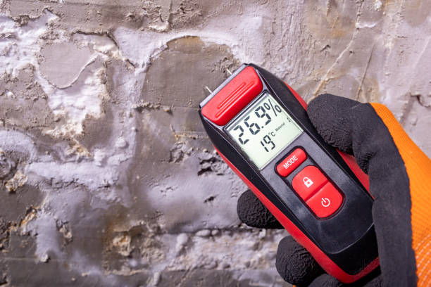 Best Residential Mold Remediation in Olivarez, TX